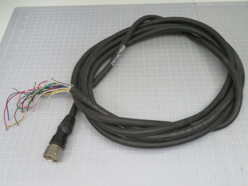 Allen Bradley  889M-F19RM-5  QD Cordset M23 Female   For Sale