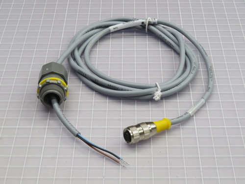 Lot of 2 TURCK   RK 4T-2    For Sale