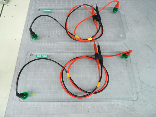 Lot of 2 BIO-RAD  Mini-Sub Cell GT    For Sale