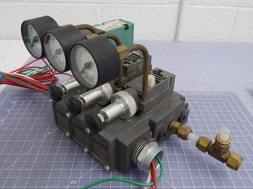 FlexiBlok, Numatics 081RS100O016Y, 081SA400K000030, 228-703B Flow Control Valves, Solenoid Valve w/ Manifold T101023 For Sale