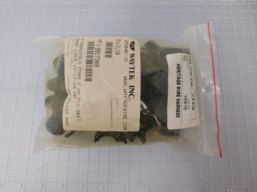 Lot of 10 Schlemmer 9817309    Y-Manifold Form C No Plug SKET SANP Lock 17-17-10MM For Sale