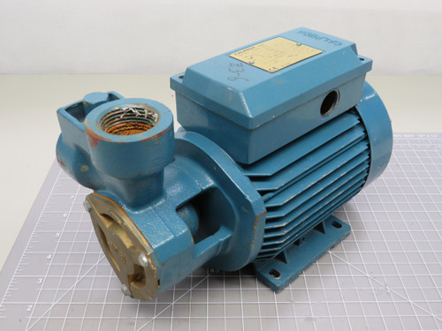 CALPEDA NT61E-681268B  Motor .33 KW For Sale