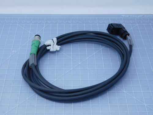 Phoenix Contact 41VB    Sensor Cable 300 VAC/DC 4 A For Sale