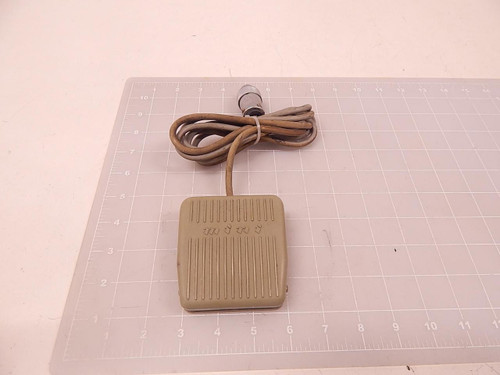 RENY ELECTRIC AC 250V 10A FOOT SWITCH T70312