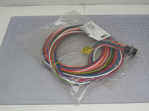 Brad Connectivity 1300130582 1R6004A20F120 Mini-Change A-Size Receptacle 6 Poles 1/2IN - 14 NPT Threads Female (Straight) to 16 AWG Leads For Sale