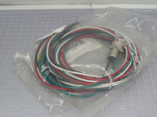 Lot of 6 Allen-Bradley 888N-D4AF1-12F 1300160397 Series B Receptacle 4 Pin Mini Female ST 16 AWG 12Ft North American Color Code For Sale