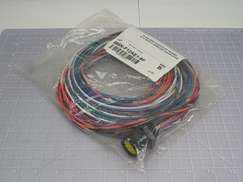 Allen-Bradley 888N-F12AE1-9F Series B Receptacle 12 Pin Mini Female ST 18AWG 9 Ft North American Color Code For Sale