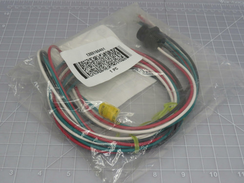 Allen-Bradley 888N-F4AF1-6F Series B Receptacle 4 Pin Mini Female ST 16 AWG 6 Ft Automotive Color Code For Sale
