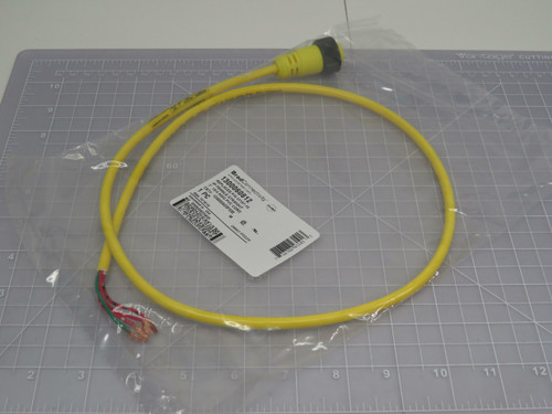 Brad Connectivity 1300060812 104000A03F030 Replaces P/N 41107-18 4P Female Straight 3´18/4 AWG PVC Cord For Sale