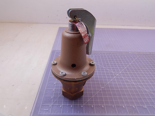 Watts M1, 174A-030 Automatic Flow Vent 1-1/4 In T99060 For Sale