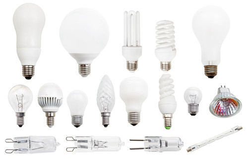 Bulbs