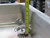 STAINLESS STEEL SINK ON CASTERS T197674