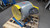 Dayton  5NRD5  Air Blower,  15" Wheel 115/230V.   For Sale