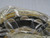 FAG 22309E SPHERICAL ROLLER BEARING T198419