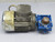 MOTOVARIO TS63A4 WORM GEARED MOTORS T198840