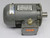 ECM 63L-4D 3-PHASE GENERAL PURPOSE MOTOR T198861