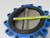 PRATT 2556 GATE VALVE 10" CF8M T207717