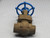 SMITH S082096117 GATE VALVE 3/4" 1975 PSI T207772