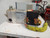 MIYACHI IS-120B IT-1040-3 RESISTANCE SPOT WELDING SYSTEM MA-627A 52 KVA M3934