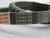 BROWNING BX76 GRIPNOTCH BELT T213167