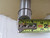 BALDOR EM3583T 143T 3PH 1-1/2HP 3500RPM 7/8IN 208-230/460V-AC AC MOTOR T210010