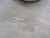 STRAIGHT CENTRIFUGAL PUMP PART T212677