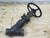 ANDERSON GREENWOOD N04-3960-6ÃÂ¨ÃÂÃÂÃÂ¨ÃÂÃÂÃÂ¨ÃÂÃÂ¥10 GLOBE VALVE T210204