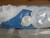 GRAYLING 01630356 QT30 AVAIL QUICK TWIST HORIZONTAL GLOVE BAGS T204018