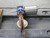 MORIN B-036U-S081-AX-XLSS PNEUMATIC STAINLESS WAFER BUTTERFLY VALVE T210199