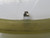 GLATT 1-099-00156-1 SILICONE INFLATABLE SEAL T213278