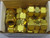 10 PARKER 12SC12-B A-LOK INCH TUBE UNION T225987