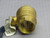 NIBCO TFP600A BRASS BALL VALVE T234987