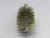 BRUSH DIA 43553 T226581