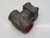 NEWCO  38S-FS4/3-NC  SWING CHECK VALVE  For Sale