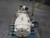 RELIANCE ELECTRIC 1MAF50243 AC-MOTOR 365TDZ 100 HP T238664