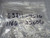 1166-25006 TERMINAL LOCATOR T241191