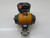 FLOWSERVE 20HF39SNN0318 R7 PNEUMATIC ACTUATOR T233742