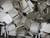 LOT OF 700 COVER SHIELDING CASES T249312
