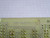 101-364715-1 CIRCUIT CARD T250337
