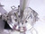 APPLIKON MINI BIOREACTOR W/STIRRER M5540