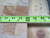 BALSASUD PB 25.4C PSC 1220X610 48X24X1 IN CORELITE CORE T254892