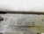 FASCH FP44U BELT CONVEYOR M6206