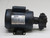 HAIGHT PUMP MOTOR T256969