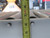 HONEYWELL 41168300-6283026 ROLLER CONVEYOR INTELLIGRATED 6 FT X 30 IN T257457