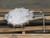 1-27-020 BUTTERFLY VALVE T259409