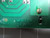 WHELEN 64197F STATIC SENSITIVE BOARD T21365 WHELEN 64197F STATIC SENSITIVE BOARD T21365