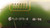 MARCONI ACIU 800360 SNCIRP0EAA MODULE T26017