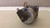 EAD EASTERN AIR DEVICES ZA23BCK-300R4 STEPPING MOTOR 2.58 V 3.0 A T28025