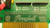 GRAYHILL 70RCK16 16 CHANNEL I/O RACK T28062