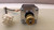 LIN ENGINEERING 4218L-08S-01 STEPPER MOTOR T29900 LIN ENGINEERING 4218L-08S-01 STEPPER MOTOR T29900